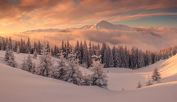 Новий рік у Карпатах — казкове свято, яке запам’ятається вам на все життя