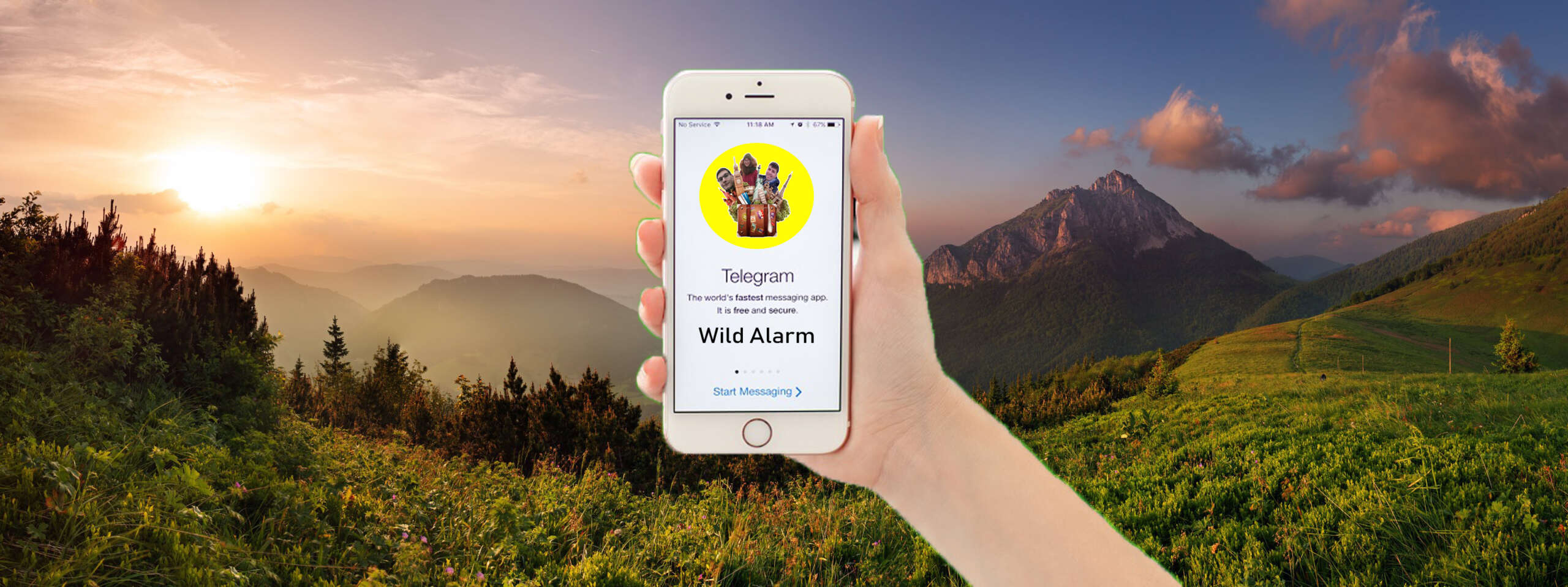 Телеграм канал Wild Alarm
