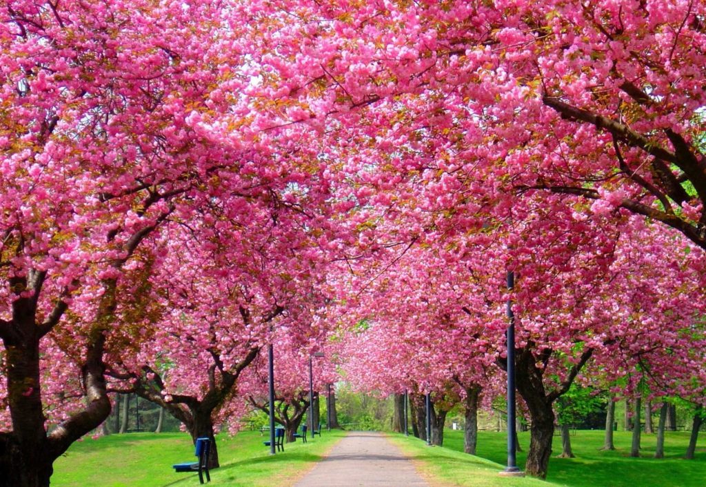 Українські аналоги найбільш туристичних місць світу (Частина 1) 5 Українські аналоги найбільш туристичних місць світу (Частина 1)