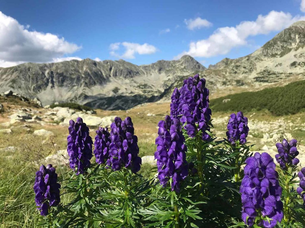 Гори Румунії - такі близькі і такі красиві 5 Румунські гори