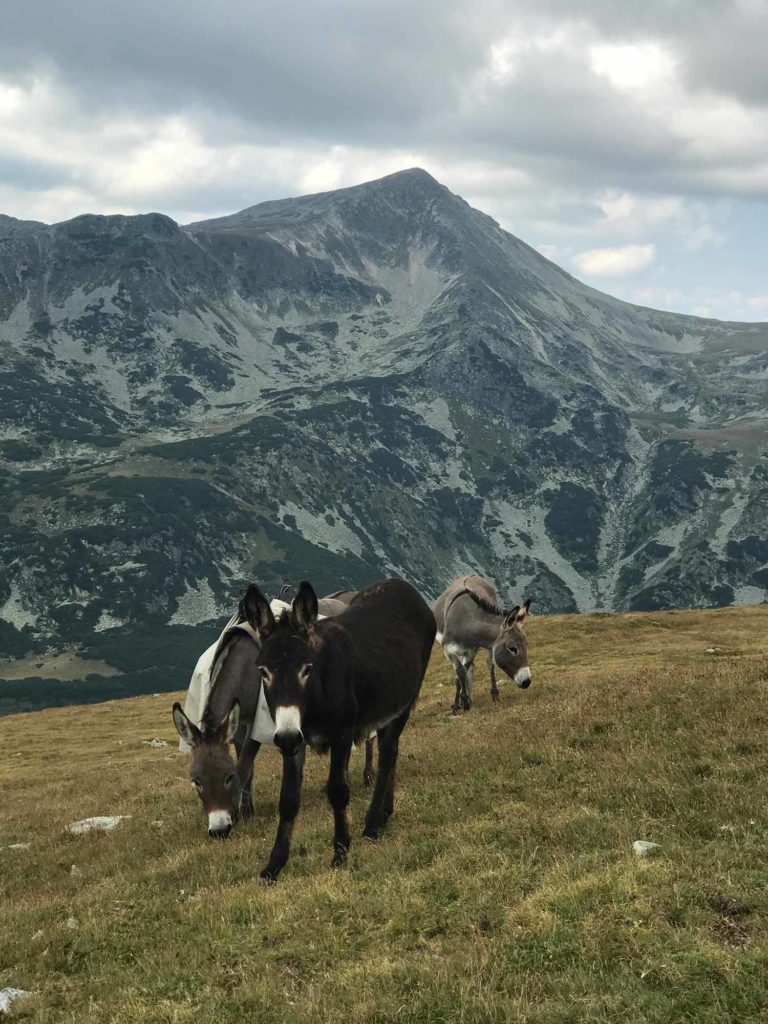 Гори Румунії - такі близькі і такі красиві 7 Румунські гори