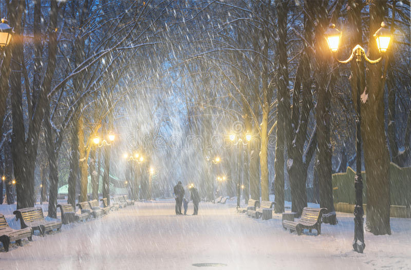 Маріїнський парк: чому ти маєш сюди приїхати? 4 Маріїнський парк