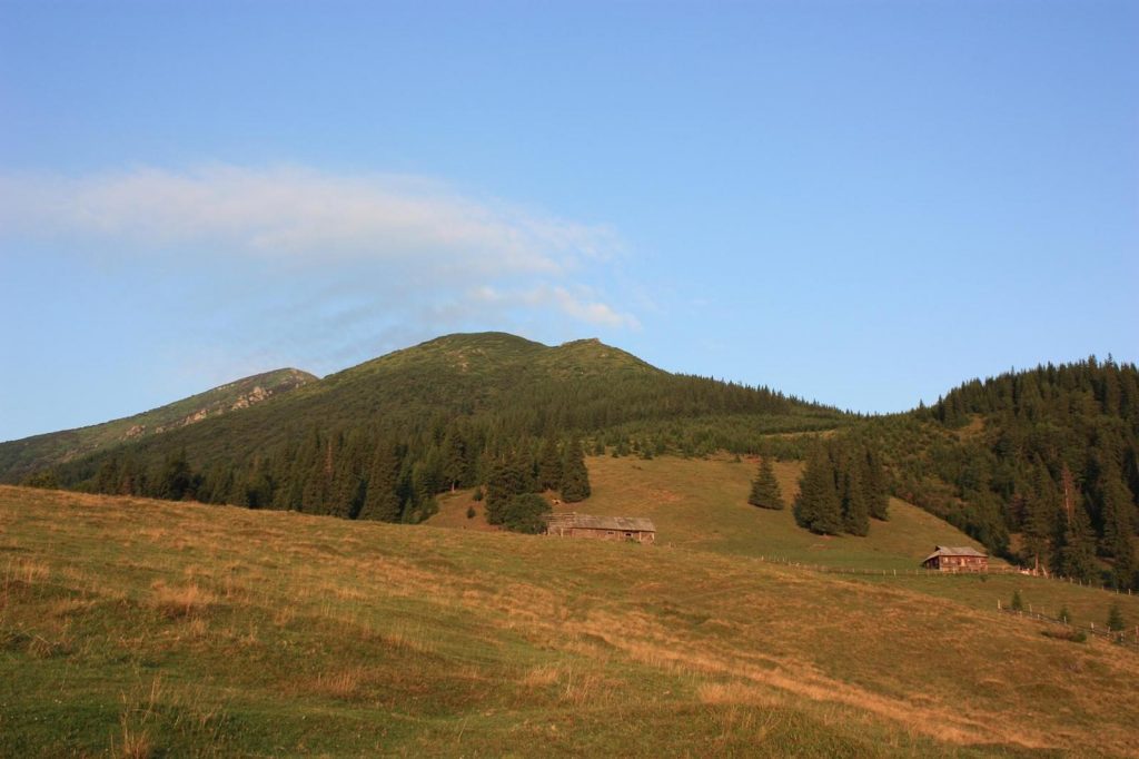Гора Вухатий Камінь: мальовничий маршрут в Карпатах 4 вухатий камінь