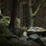 Гора Вухатий Камінь: мальовничий маршрут в Карпатах 10 вухатий камінь фото