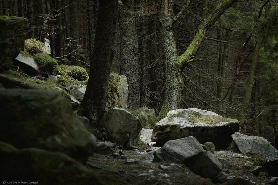 Гора Вухатий Камінь: мальовничий маршрут в Карпатах 3 вухатий камінь фото