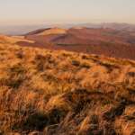 Гора Пікуй: найвища вершина львівської області 8 Гора Пікуй