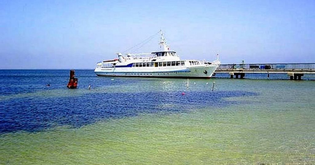 Відпочинок в Скадовську: дешевий і цікавий відпочинок на морі 6 відпочинок в скадовську на морі