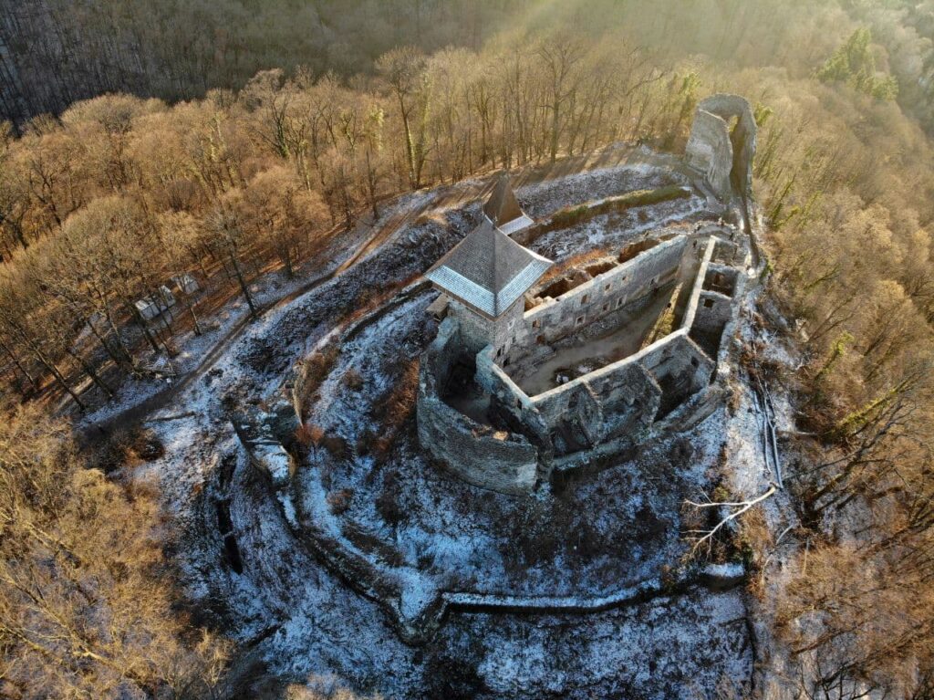 Невицький замок 14 Цікаві факти про Невицький замок