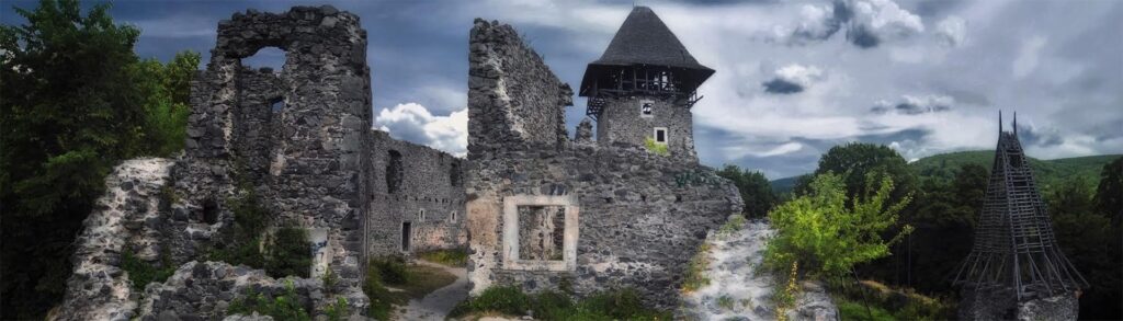 Невицький замок 6 Історія Невицького замку