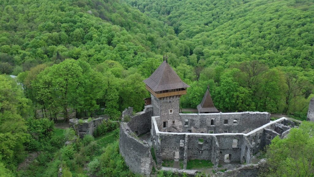Невицький замок 7 Історія Невицького замку