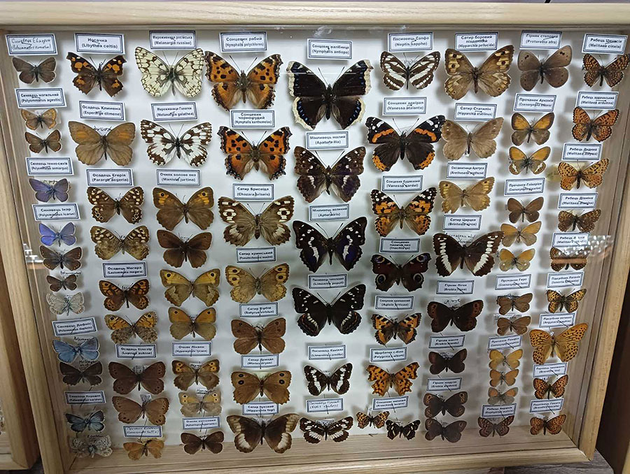 Що подивитись в Славську 6 Музей фауни Карпат, України, світу в Славському