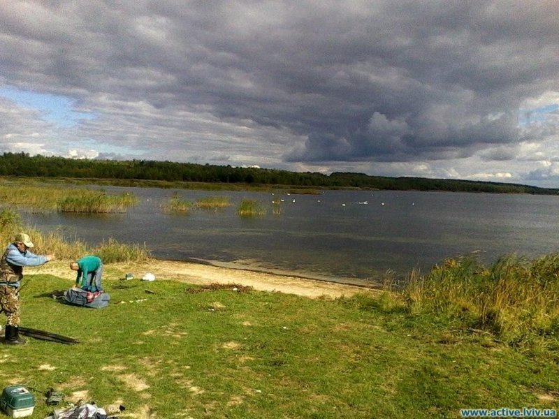 Флора та фауна озера