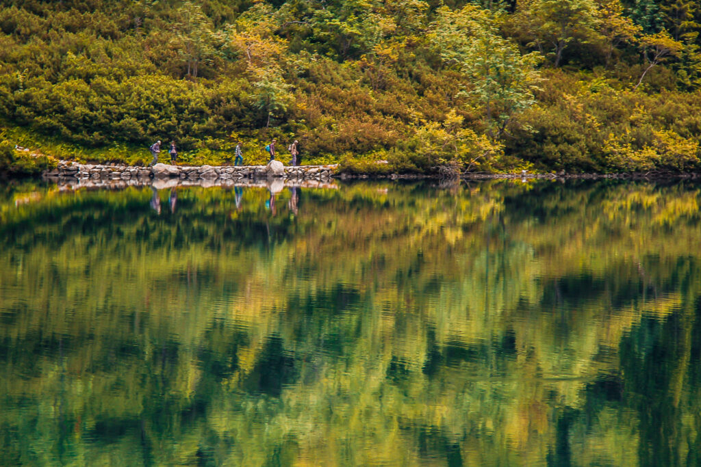 Морське Око: Перлина Польських Татр 3 Чарівний світ флори та фауни Морського Ока